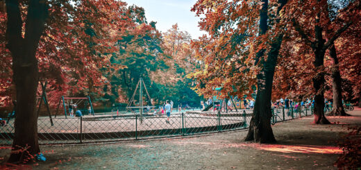 plac zabaw w parku południowym