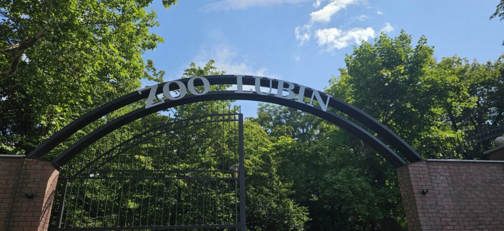 zoo lubin